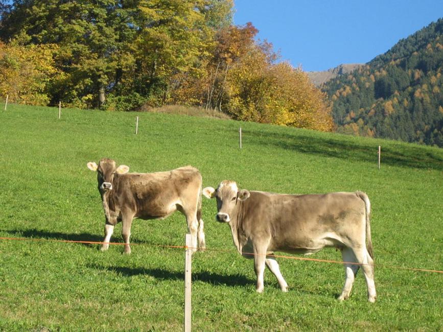 Mantingerhof * Funes (Bolzano)